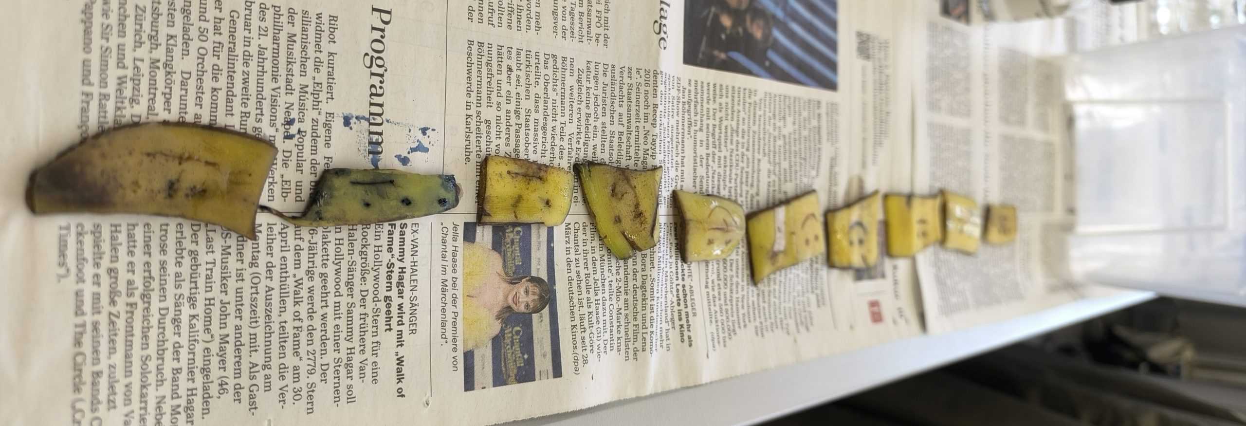 Rundis Bananentattoos – MINT-AG mit Chemkids-Experimenten