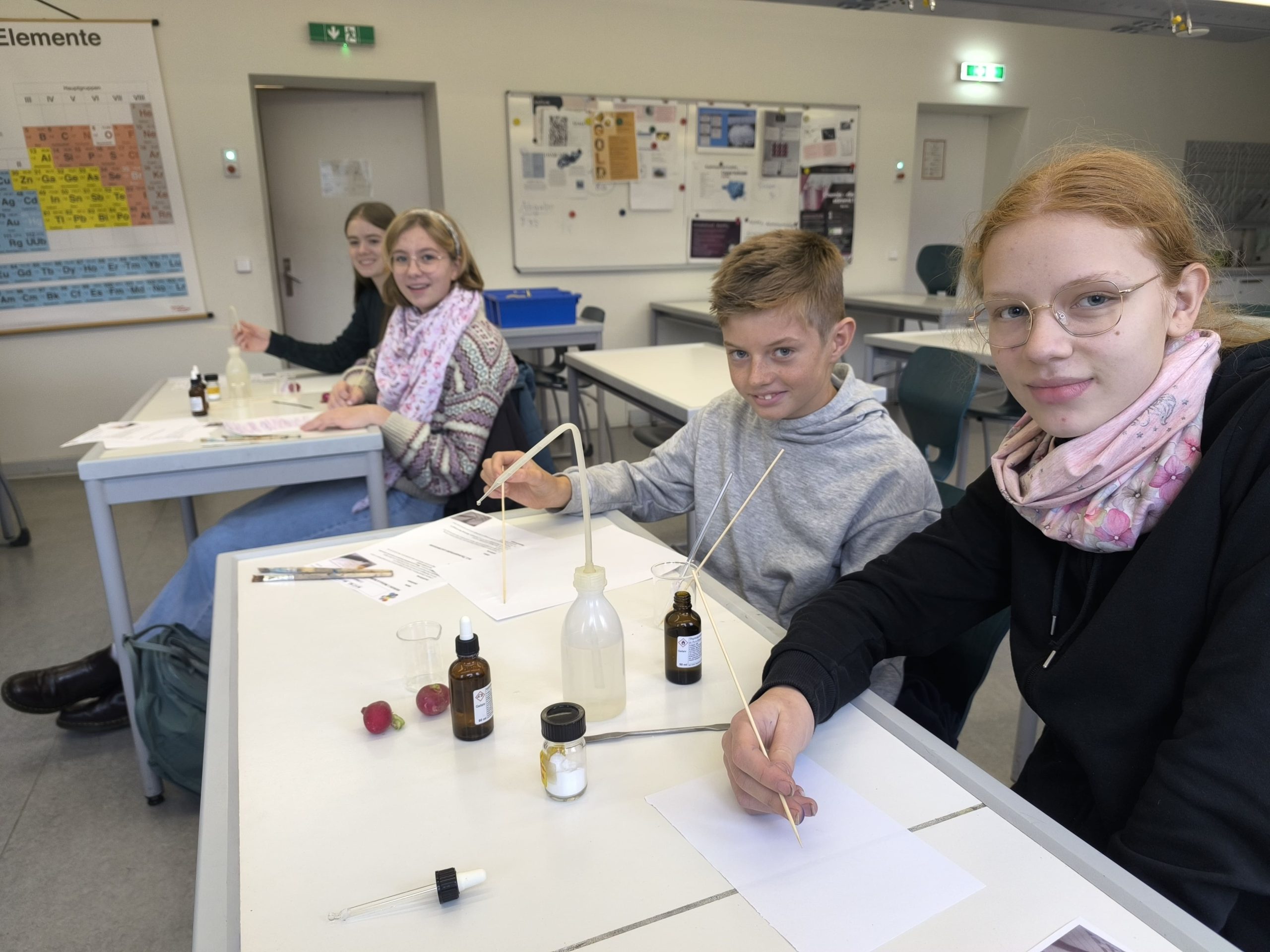 Geheime Botschaften in der MINT-AG