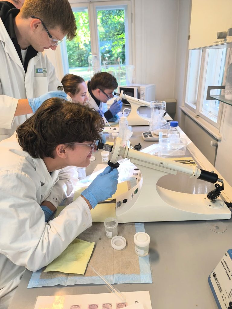 Chemie-LK erkundet Proteinchemie